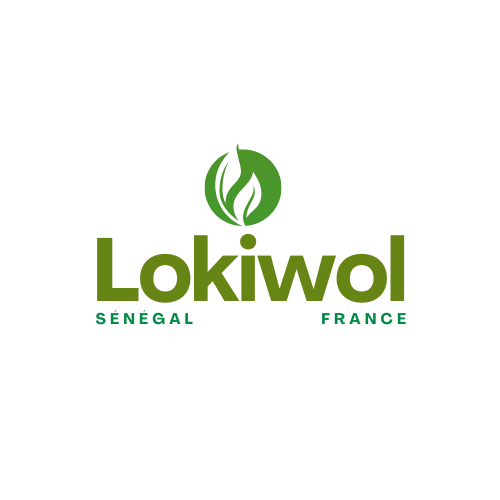Logo Lokiwol